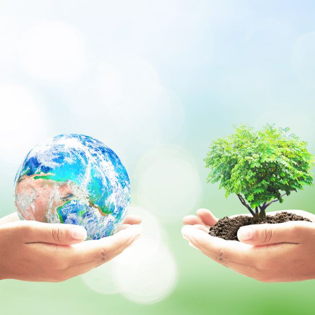 Environnement-Developpement Durable